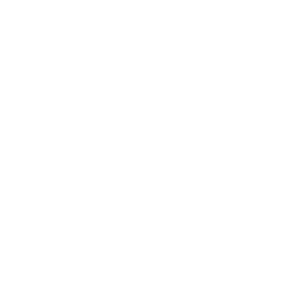 Net Accounting Logo