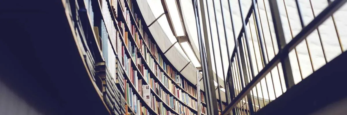 Citrus Grove Adventures Banner