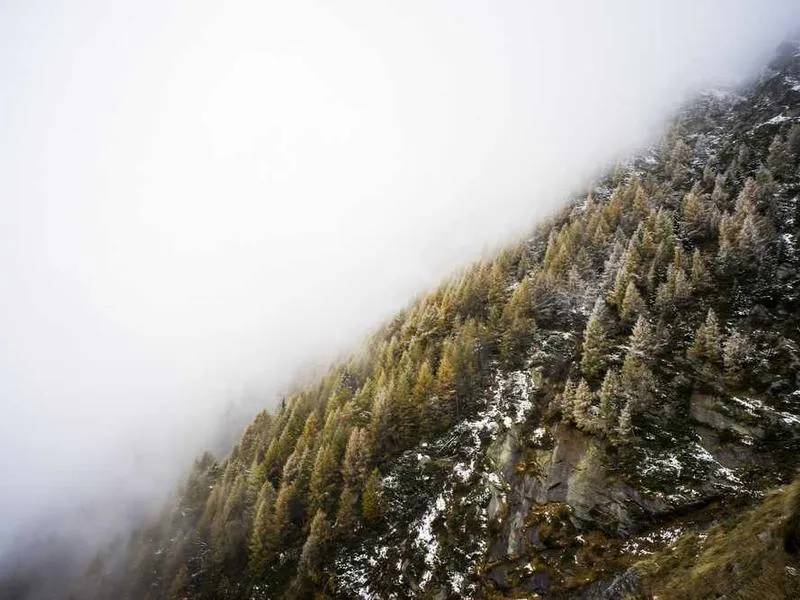 Energy Efficient Windows