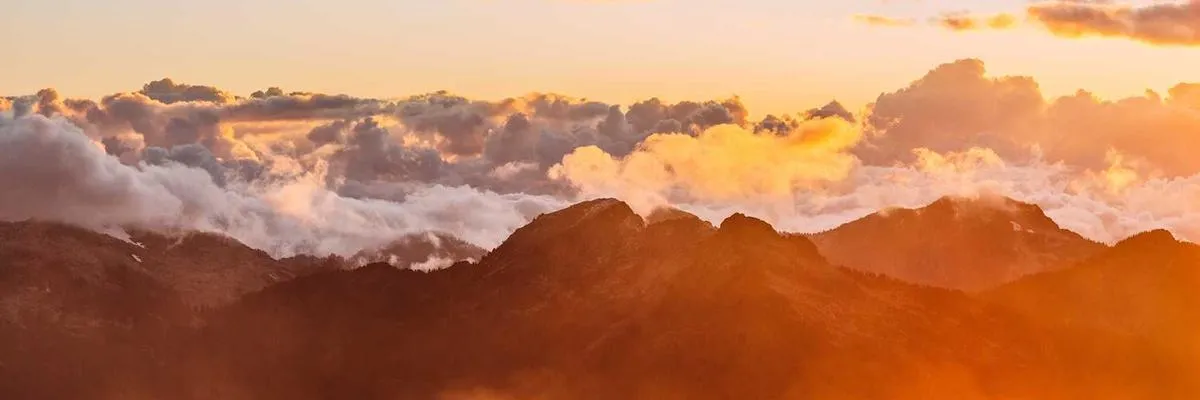 SunPower Solutions Banner